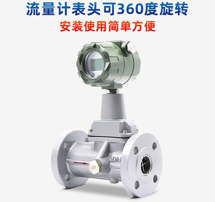 dn25旋進(jìn)旋渦流量計產(chǎn)品圖